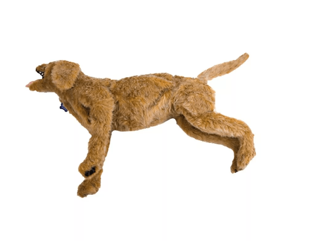 Jerry - Erler - Zimmer